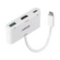 LINDY Dock Convertisseur USB-C PD 100W avec HDMI/USB-A * 43340