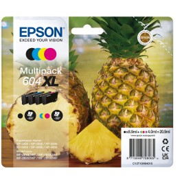 CRT 604 Ananas Pack XL 4 Couleurs