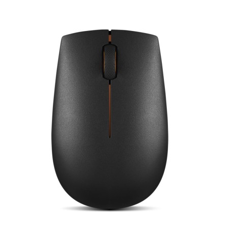 Souris 300 Wireless Compact