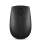 Souris 300 Wireless Compact