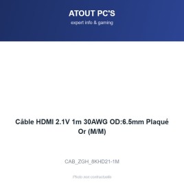 Câble HDMI 2.1V 1m 30AWG OD:6.5mm Plaqué Or (M/M)