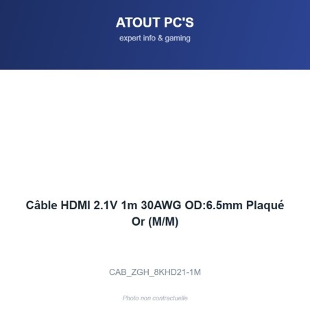 Câble HDMI 2.1V 1m 30AWG OD:6.5mm Plaqué Or (M/M)