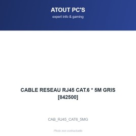 CABLE RESEAU RJ45 CAT.6 * 5M GRIS [842500]