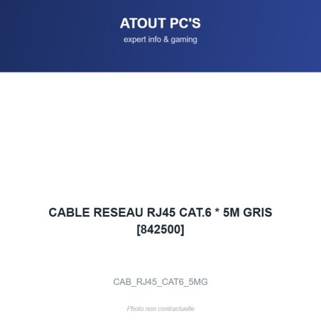 CABLE RESEAU RJ45 CAT.6 * 5M GRIS [842500]