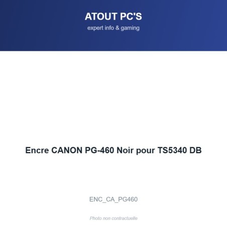 Encre CANON PG-460 Noir pour TS5340 DB