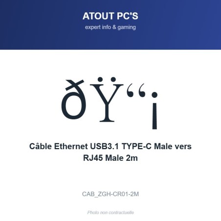 Câble Ethernet USB3.1 TYPE-C Male vers RJ45 Male 2m