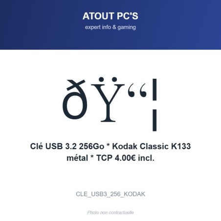 Clé USB 3.2 256Go * Kodak Classic K133 métal * TCP 4.00€ incl.