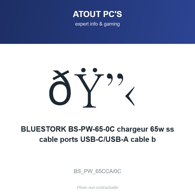 BLUESTORK BS-PW-65-0C chargeur 65w ss cable ports USB-C/USB-A cable b