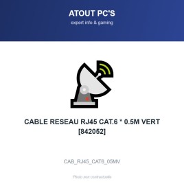 CABLE RESEAU RJ45 CAT.6 * 0.5M VERT [842052]