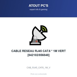 CABLE RESEAU RJ45 CAT.6 * 1M VERT [842102/856848]