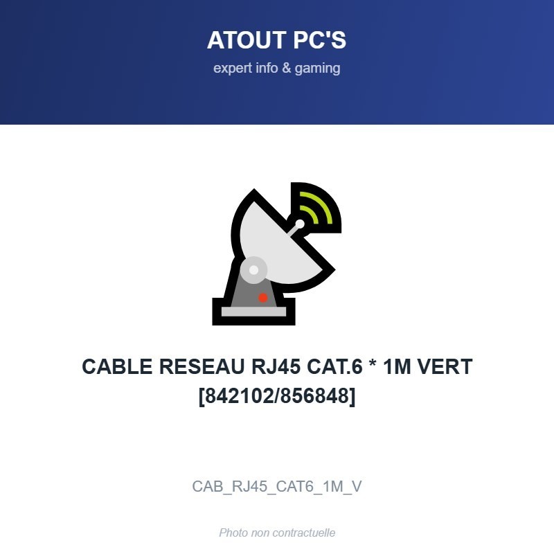 CABLE RESEAU RJ45 CAT.6 * 1M VERT [842102/856848]