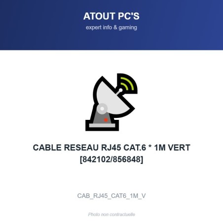 CABLE RESEAU RJ45 CAT.6 * 1M VERT [842102/856848]