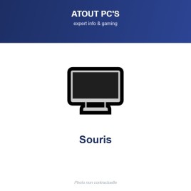 RAZER SOURIS RZ01-03850100-R3M1 Death Adder Essential fil USB Noir