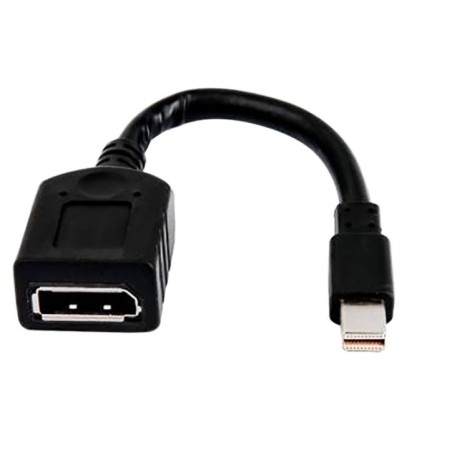 HP Adaptateur Mini-DP (M) vers DisplayPort (F) * 2MY05AA