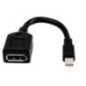 HP Adaptateur Mini-DP (M) vers DisplayPort (F) * 2MY05AA