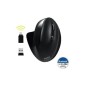 Souris professionnelle ergonomique rechargeable Conception ergonomique inclinée pour droitier Batterie rechargeable inté
