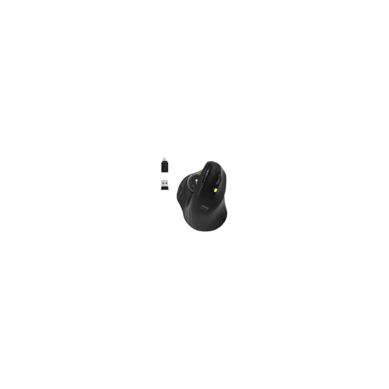 Souris professionnelle ergonomique rechargeable Conception inclinée ergonomique pour droitier Batterie rechargeable inté