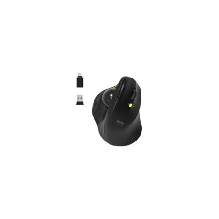 Souris professionnelle ergonomique rechargeable Conception inclinée ergonomique pour droitier Batterie rechargeable inté