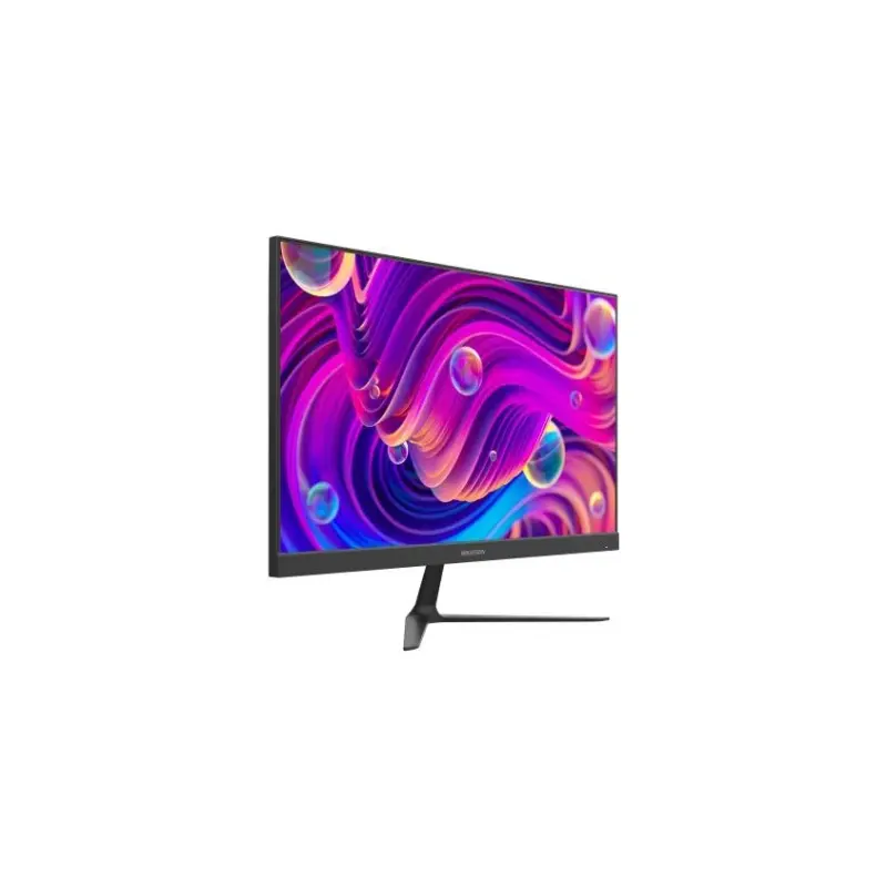 Moniteur professionnel de 23,8″