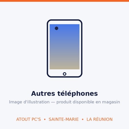 Binom FX1 4G Téléphone fixe +SOS/BTH/HP Intégré | Atout PC's Reunion