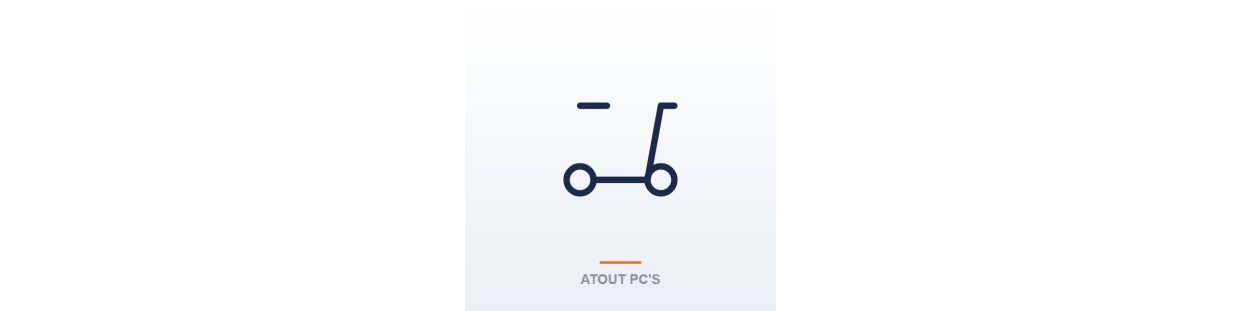 Trottinettes électriques