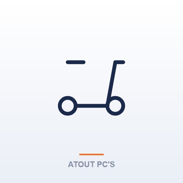 Mobilité urbaine